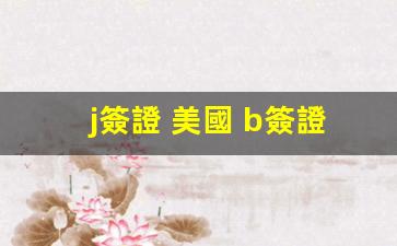 美國簽證攻略，J簽證與B簽證詳解及入境間隔時間解析